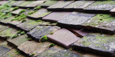 Woore roof repair costs